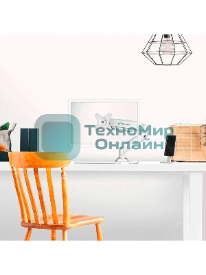 Кронштейн (держатель) ONKRON G80 для монитора 13