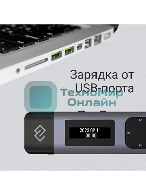 Диктофон Цифровой Digma DiVoice RV50 8Gb черный