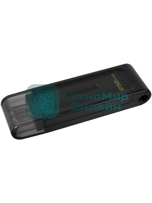 Флешка USB Kingston DataTraveler DT70 (DT70/256Gb), 256Gb, USB Type-C 3.2, R/W 70/45, черный