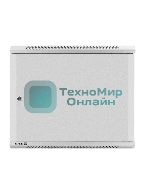 Шкаф телекоммуникационный 19