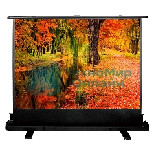 Экран Cactus 150x200 см FloorExpert CS-PSFLE-200X150 4:3 напольный рулонный