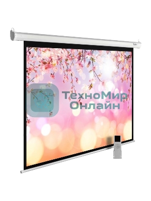 Экран Cactus 220x220 см MotoExpert CS-PSME-220x220-WT 1:1 настенно-потолочный рулонный белый (моторизованный привод)