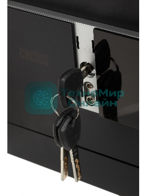 Сейф мебельный Cactus CS-SF-T25 250x350x300мм электронный