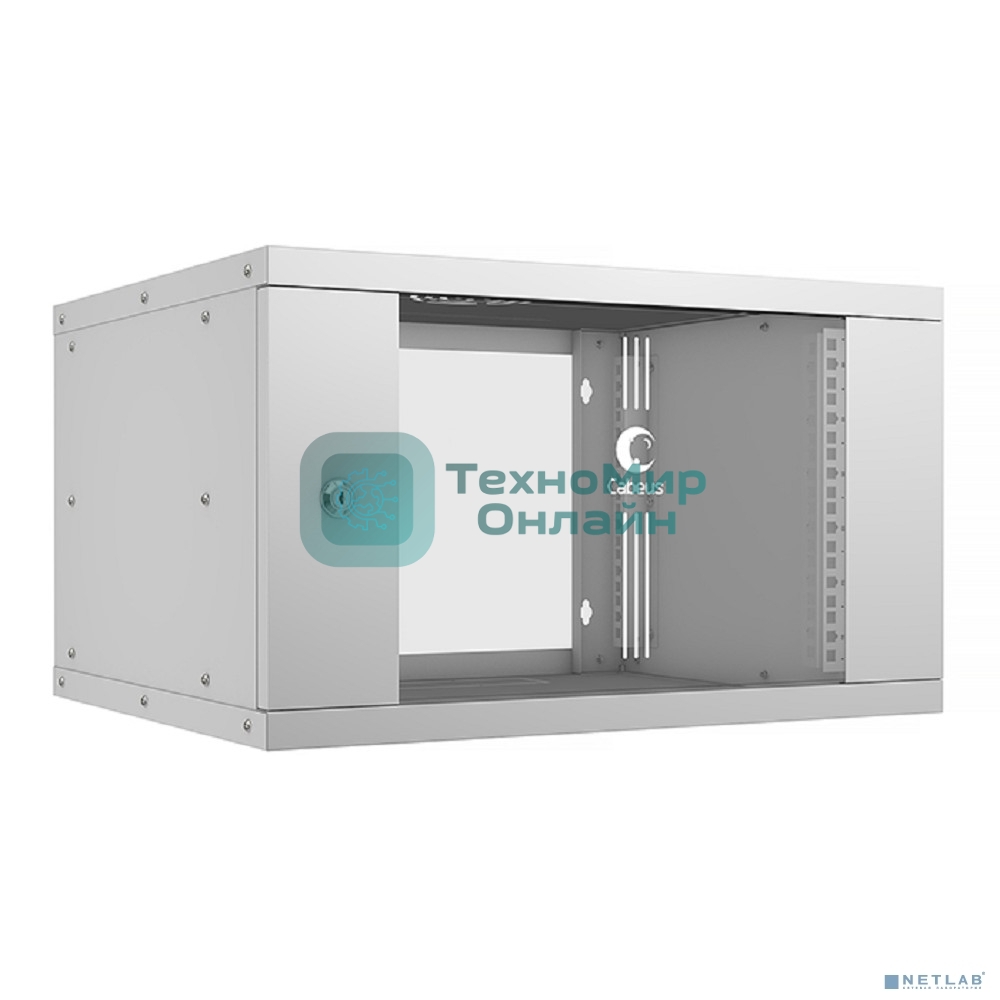 Шкаф телекоммуникационный Cabeus WSC-05D-6U55/45 настенный 19