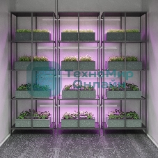 Прозрачный Светильник Gauss Fito TL LED линейный 15W 3000K 1172мм (Full spectrum) 1/25