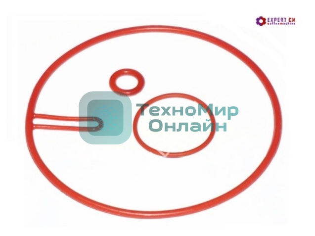 Ремкомплект плоского бойлера Saeco Royal