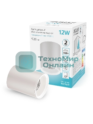 Светильник Gauss Overhead потолоч. белый (HD011)