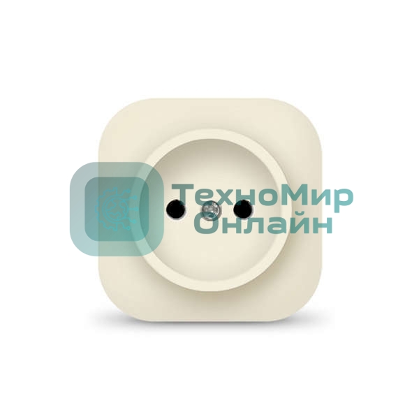 Розетка 1-м ОП 10А IP20 без заземл. сл. кость IONICH 1431