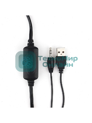 Акустическая система 2.0 Гарнизон GSP-150, черный, 6 Вт, FTB-динамики, материал- пластик, USB - питание