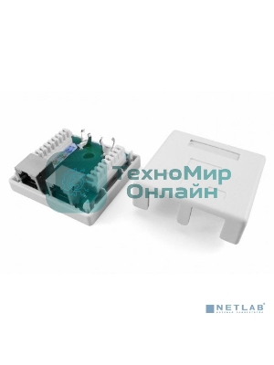 Розетка компьютерная RJ-45(8P8C), категория 5e, экранированная, двойная, внешняя, Dual IDC Hyperline SB1-2-8P8C-C5e-SH-WH