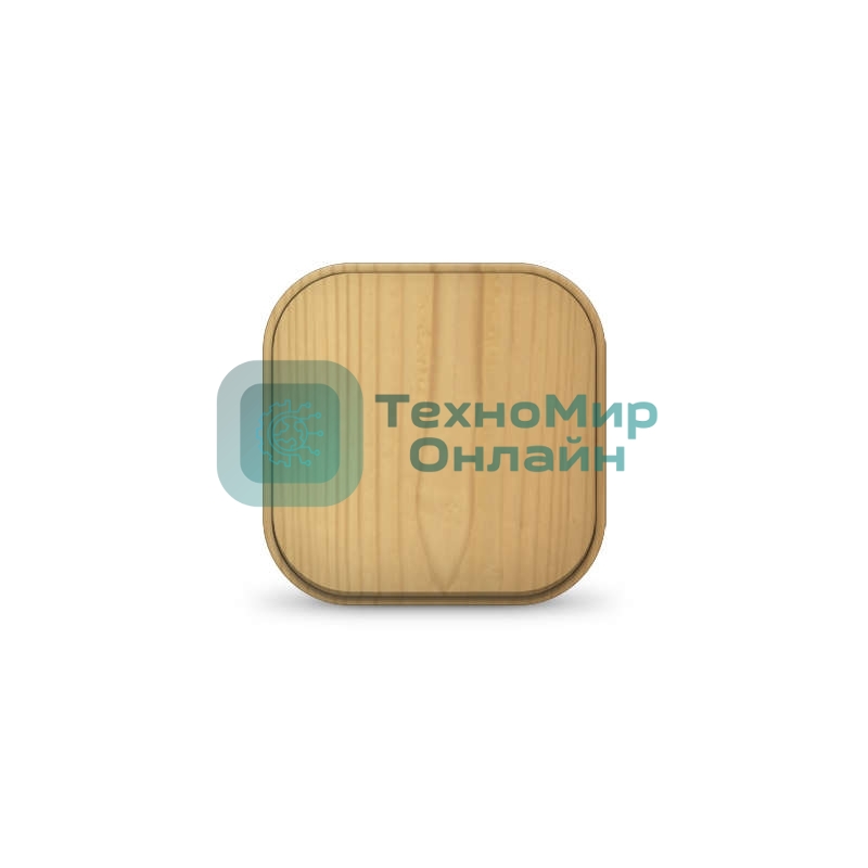 Выключатель 1-кл. 1п ОП 10А IP20 сосна IONICH 1434