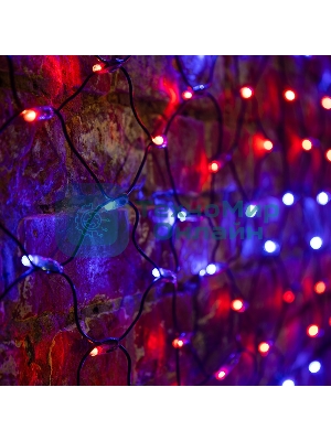 Гирлянда Neon-night Сеть 