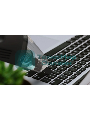 Пылесос Автомобильный Ritmix CVC-002 черный 60Вт