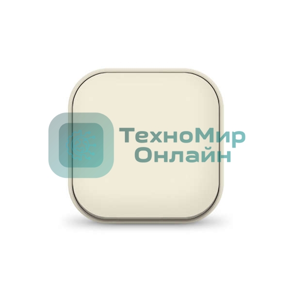 Выключатель 1-кл. 1п ОП 10А IP20 сл. кость IONICH 1423