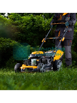 Газонокосилка бензиновая GLD-520SP, 196 куб.см., шир. 52 см,привод,7 уров.,травосб. 60 л Denzel