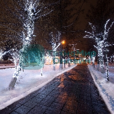 Гирлянда Neon-night LED Клип-лайт 12 V, прозрачный ПВХ, 150 мм, цвет диодов белый