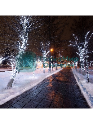 Гирлянда Neon-night LED Клип-лайт 12 V, прозрачный ПВХ, 150 мм, цвет диодов белый