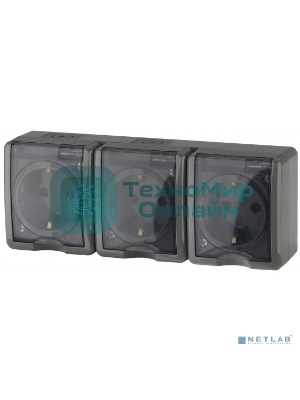 Розетка ЭРА 3х2P+E IP54, 16АХ-250В, 11-2405-03, ОУ, Эксперт, серый (5/50/800)