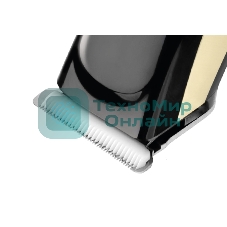 Машинка для стрижки волос Centek CT-2124 черный/золото