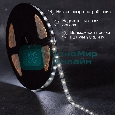 Лента светодиодная 12В, SMD2835, 4,8Вт/м, 60 LED/м, 6500К, 8мм, 20м, для БП с клеммами, IP20 LAMPER