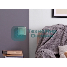 Рамка 1 пост шампань Inspiria