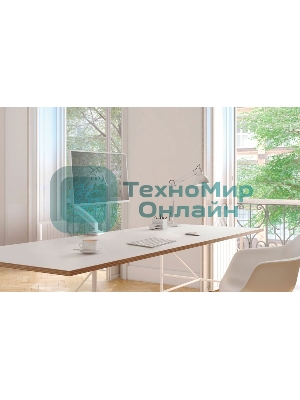 Кронштейн (держатель) ONKRON G80 для монитора 13