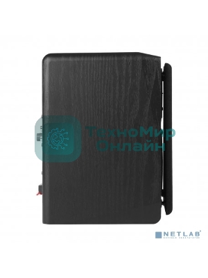 Акустическая система 2.0 Edifier R1010BT черный