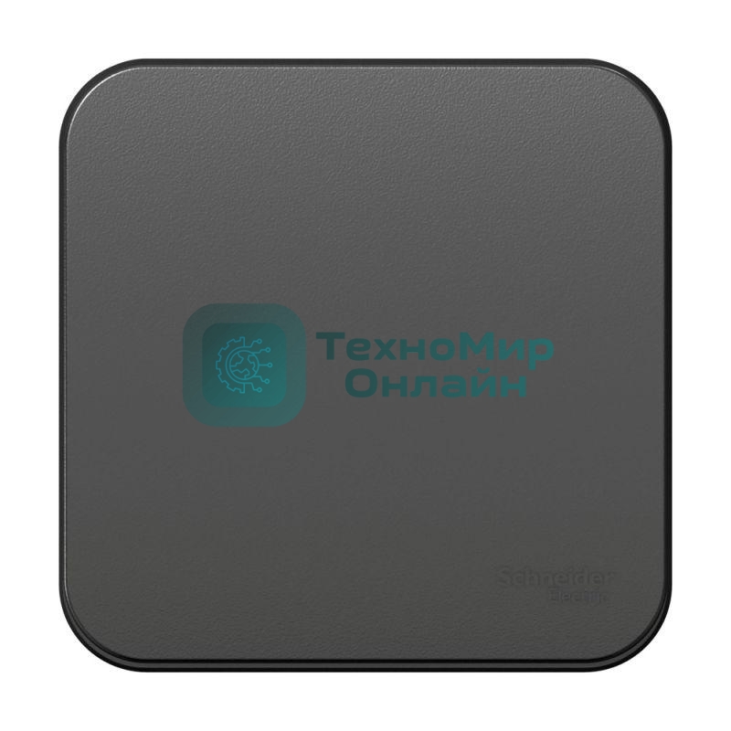 Переключатель 1-кл. ОП Blanca (сх.6) 10А 250 В изол. пласт. антрацит SchE BLNVA106016