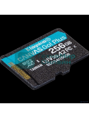 Флеш карта microSDXC 256Gb Kingston SDCG4/256GbSP Canvas Go! Plus V10 A2 w/o adapter
