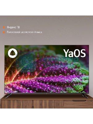 Телевизор SunWind 55