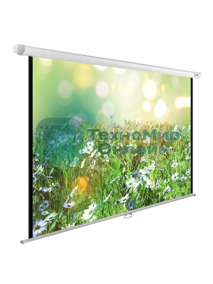 Экран Cactus 200x200 см WallExpert CS-PSWE-200x200-WT 1:1 настенно-потолочный рулонный