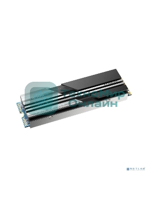 Накопитель SSD Netac NV5000 Pro, 500Gb, M.2 2280, PCIe 4.0 x4, NVMe, R/W 4800/2700, с радиатором
