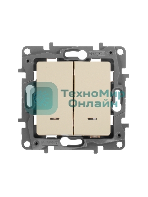 Выключатель 2-клавишный с подсветкой, на винтах, 10АХ, сл. кость