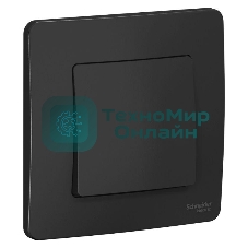 Выключатель 1-кл. СП Blanca (сх.1) 10А 250 В антрацит SchE BLNVS010106