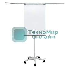 Флипчарт Cactus CS-FCR-M67x105 магнитно-маркерная меламиновая 67x105см на роликах