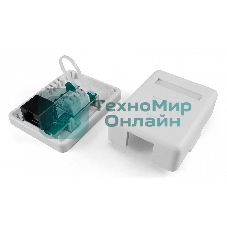 Розетка компьютерная Hyperline SB1-1-8P8C-C5e-WH RJ-45(8P8C), категория 5e, одинарная, внешняя, Dual IDC