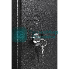 Шкаф телекоммуникационный настенный разборный ЦМО ЭКОНОМ 9U (600 x 350) дверь металл, черный (ШРН-Э-9.350.1-9005)