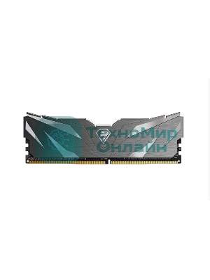 Оперативная память NETAC, DDR4, 16GB (1x16GB), 2666MHz, CL19, DIMM, с радиатором, черный