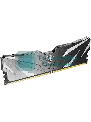 Оперативная память NETAC, DDR4, 16GB (1x16GB), 2666MHz, CL19, DIMM, с радиатором, черный