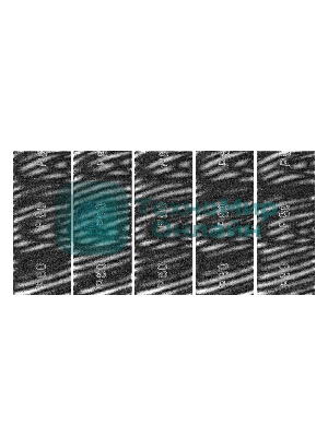 Сетка абразивная Сибртех, P 80, 115 х 280 мм, 5 шт.