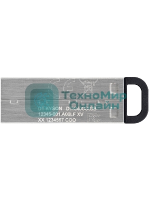 Флешка USB Kingston KYSON (DTKN/64GB), 64Gb, USB 3.2 Gen 1, R/W 200/60, серебристый/черный