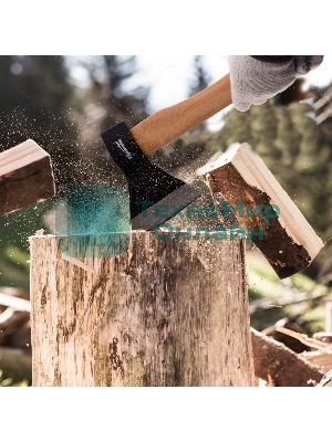 Топор Sparta 600 г в сборе кованый деревянное топорище