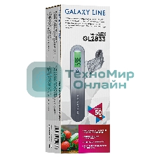 Безмен Galaxy LINE GL 2833, серый, ЖК-дисплей с подсветкой зеленого цвета, максимально допустимый вес 50 кг, цена деления 10 г, функция обнуления массы тары, индикатор перегрузки, индикация низкого заряда элемента питания, крюк и ремень для взвешивания, единицы измерения: грамм, килограмм, фунт, унция, элемент питания типа 