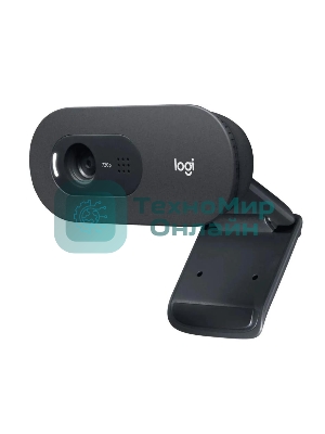 Веб-камера Logitech C505e 1280x720, 30 кадр/с, USB Type-A, микрофон (шумоподавление), автоосвещение, универсальное крепление