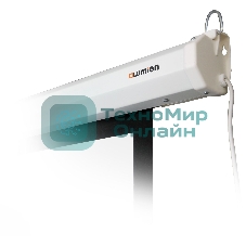 Экран с электроприводом Lumien Eco Control 229x305 см (раб. область 221х297 см) Matte White черная кайма по периметру 4:3