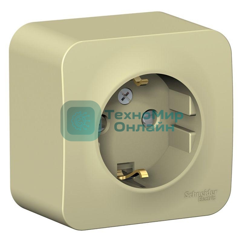 Розетка ОП Blanca 16А 250В защ. шторки с заземл. изол. пласт. беж. SchE BLNRA011117
