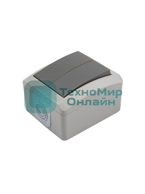 Выключатель двухклавишный Kranz INDUSTRIAL открытой установки, IP54 серый