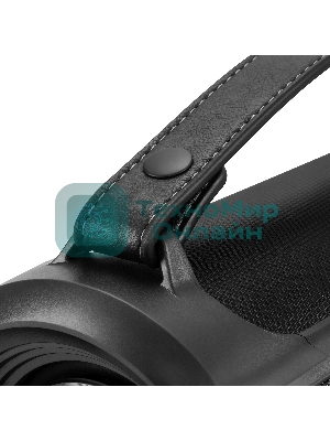 Колонка портативная Hyundai H-PS1025 черный 40W 2.0 BT 10м 3000mAh