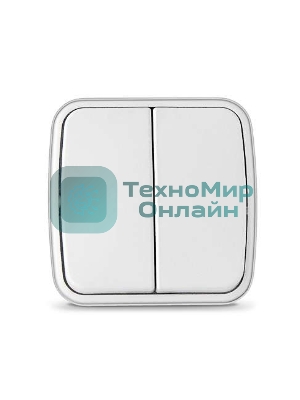 Выключатель 2-кл. ОП Электра 10А IP20 белый Союз 0031