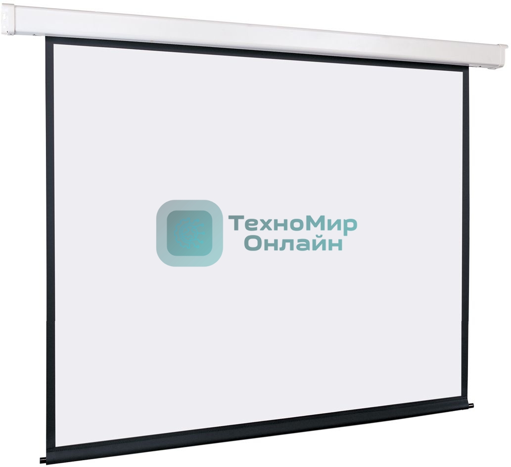 Экран с электроприводом Lumien Eco Control 229x305 см (раб. область 221х297 см) Matte White черная кайма по периметру 4:3
